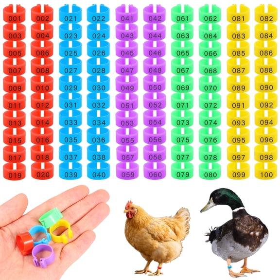 100pcs Chicken Leg Bands Adjustable Poultry Tags Durable Multi-Colored Hens Identification Leg Rings Chicken Coop Accessories for Chickens Chick Ducks Goose Turkey Birds