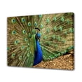 thumbnail image 1 of Póster de lienzo de pavo real, decoración de dormitorio, paisaje deportivo, decoración de oficina, regalo, estilo marco, 20 x 30 cm, 1 of 8
