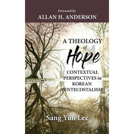 Pre-Owned A Theology of Hope (Hardcover)