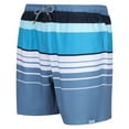 thumbnail image 3 of Regatta Mens Loras Striped Swim Shorts, 3 of 5