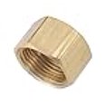 thumbnail image 2 of Compression Fitting, Cap, Lead Free, 1/4 In. - 710081-04, 2 of 4