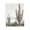 Southwestern Desert Cacti Sunset, variant on Stupell Industries Rustic Lodge Subdued Desert Cacti Canvas Art, 16 x 20, by Kim Allen