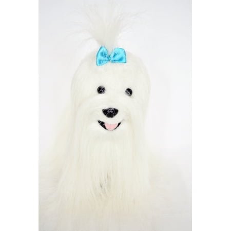 My Brittany S Long Haired Maltese Dog Alex For American Girl Dolls
