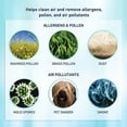 thumbnail image 4 of Holmes HAPF300AHD Aer1 True HEPA Allergen Remover Air Purifier Filter (2-Pack), 4 of 5