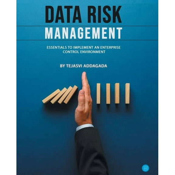 Data Risk Management: Essentials to implement an Enterprise Control Environment, (Paperback)