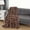 Giraffe, variant on Mocassi Reversible Printed Sherpa All-Season Blanket Perfect for Lounging 50 x 60 inches Bloomingdale Sherpa Throw Burgundy
