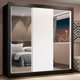 thumbnail image 1 of Ropero Closet Madesa Lyon Plus 3 Puertas con Espejos N, 1 of 5