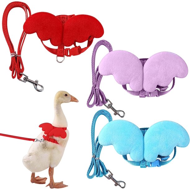 (M) Paquete de 3 Cordones de Tracción para Patos - Cómodos Arneses con Correas Ajustables con Lindas Alas de Ángel para Pato Ganso Gallina Conejo Gatito Cachorro Entrenamiento para Caminar al Aire Li