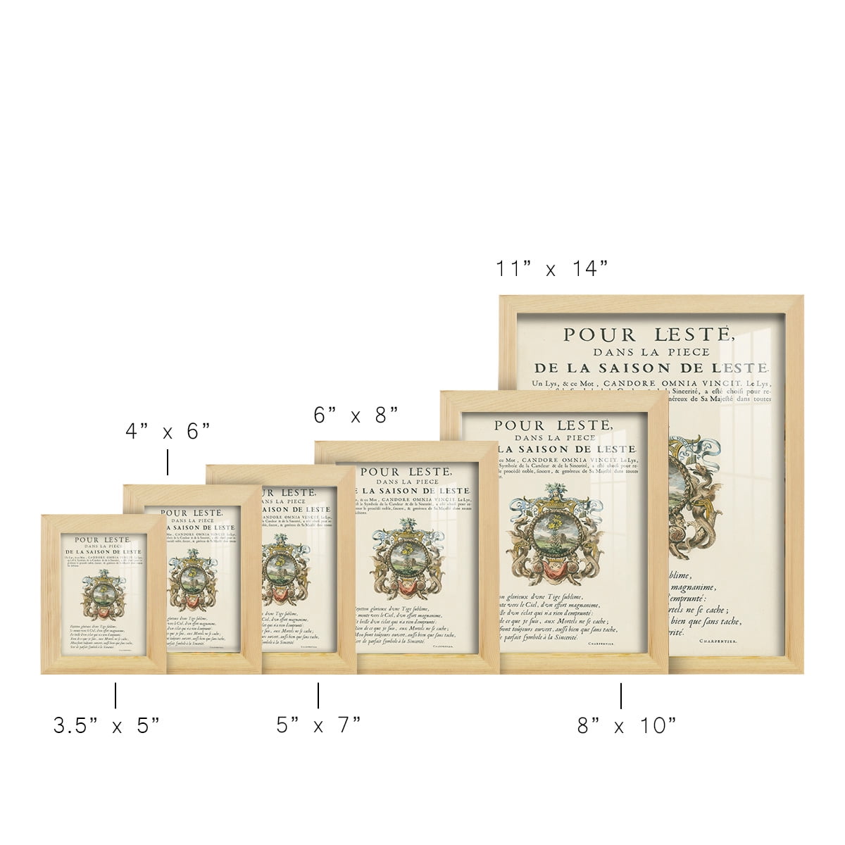 Printed Embellished Bookplate VI - Framed Print w/glass - Natural Wood