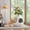 White, variant on Jaxpety 4-in-1 Cat Bed for Indoor Cats, Large Cat House with Cat Scratcher, Odor Control & Plant Pot Design, Enclosed Cat Cave for Kitten & Adult Cats,Black
