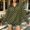 Army Green, variant on Zip Up Sweatshirt Womens Polka Dot Print Stand Collar Half Zip Pullover Shirt Long Sleeve Relaxed Fit Sweatshirt Casual Streetwear