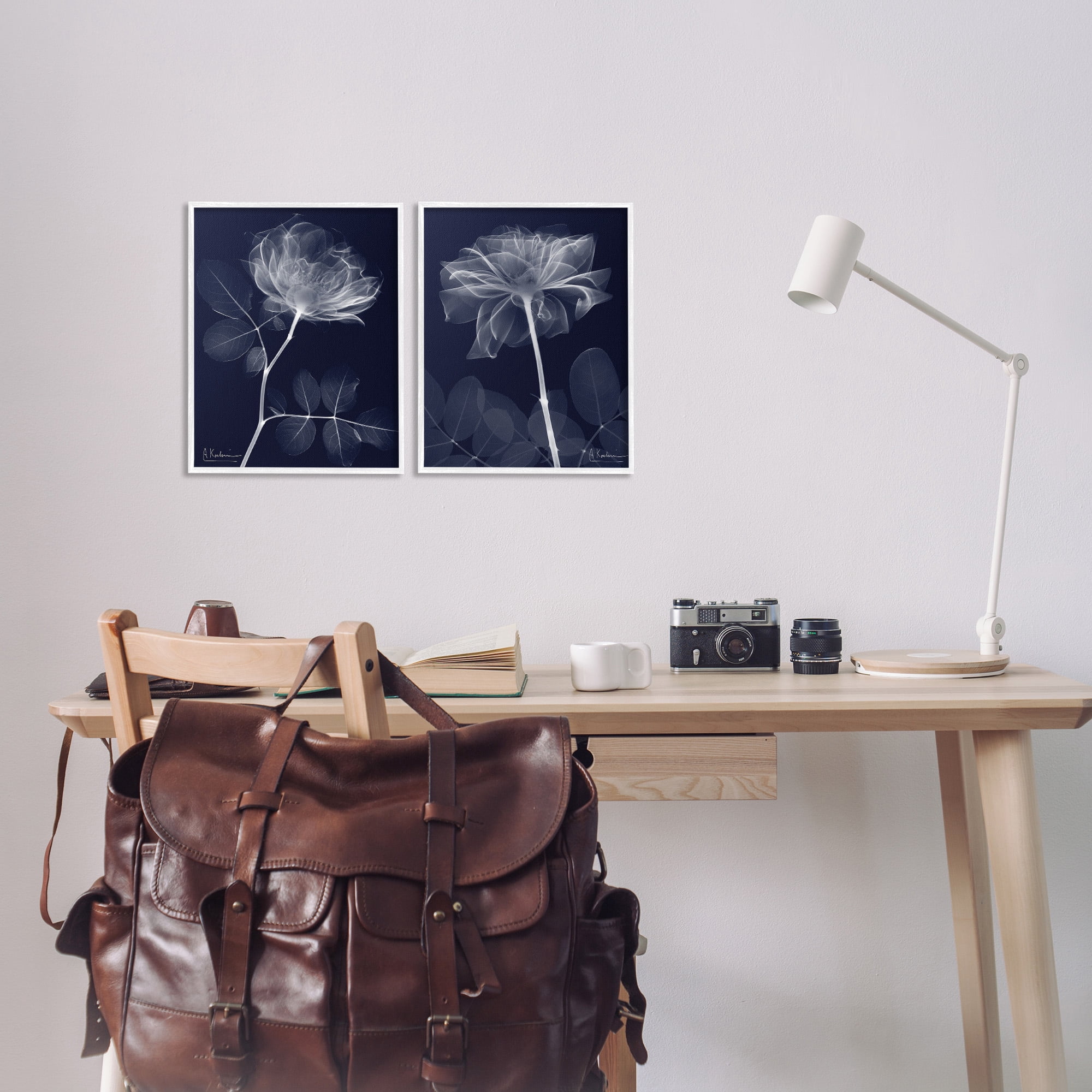Stupell Industries X-Ray Blossom on Black Botanical & Floral Photography White Framed Art Print Wall Art, 11 x 14, Set of 2