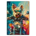 thumbnail image 3 of Berger Picard Dog Riding a motorcycle Poster Unframe, Berger Picard Dog Canvas Frame Ready to Hang - Prints For Wall Decor - Thank You Gifts, 3 of 6