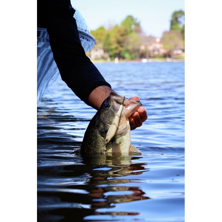 (2 pack) Berkley Gulp! Minnow, 2.5 in, Gold Leaf (2 pack) Berkley Gulp! Minnow, 2.5 in, Gold Leaf