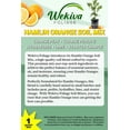 thumbnail image 2 of Hamlin Orange Tree Growing Soil Mix  10 Quarts - Custom Soil Blend  Potting Mix for Hamlin Orange Trees  Specially Developed by and for Professional Nursery Growers - Nutrient-Rich Formula, 2 of 7