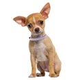 thumbnail image 2 of Mumup Rhinestone Dog Collars for Small Dogs, Pink Pu Leather Fancy Diamond Bling Cat Collar, Glitter Crystal Jeweled Girl Puppy Collars for Female Pet Dogs, 2 of 4