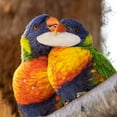thumbnail image 4 of Natural Cuddle Bone Parrot Chew Toys Chewing Cuttlefish Bone Bird Cuttlebone, 4 of 9