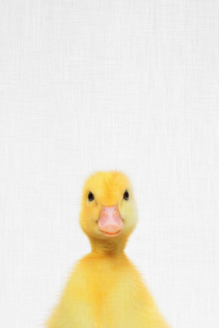 Little sparkly duck wall art What a duck? Mini Original painting Gift