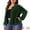 Green, variant on DARING DIVA Plus Size Holographic Long Sleeve Zip Up Mesh Jackets 1X Blue Purple