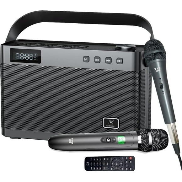HW HAOWORKS T9 Máquina Karaoke Portátil con Sistema PA de 40 Vatios con Micrófono Inalámbrico y con Cable