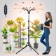 thumbnail image 2 of Luces de cultivo para plantas de interior 90 W LED espectro completo con temporizador 4 8 12 horas y cuello de cisne, 2 of 8
