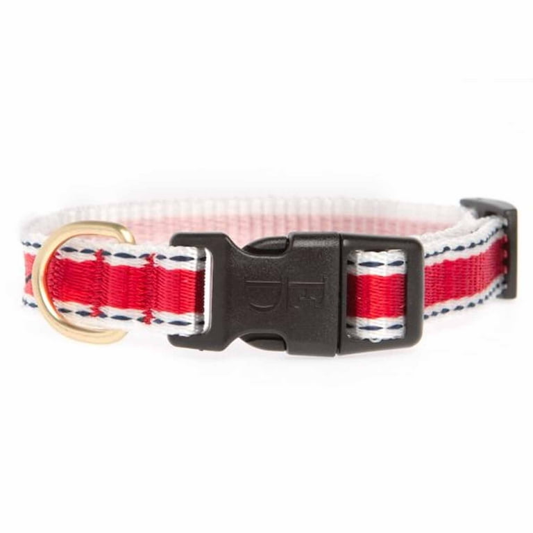 ED Ellen DeGeneres Love Adjustable Dog Collar Large