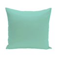 thumbnail image 1 of Simply Daisy 16" x 16" Solid Print Pillow, 1 of 1