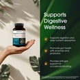 thumbnail image 6 of NatureBell Digestive Enzymes - 240 Capsules - Gut & Digestive Health Support Supplement - With 20 Enzymes, 5 Prebiotics & 10-Strand Probiotic Blend - 120 Servings, 6 of 8