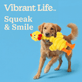 thumbnail image 4 of Vibrant Life Yellow Long Neck Chicken Plush Dog Toy with Squeaker, Chew Level 3, 4 of 9