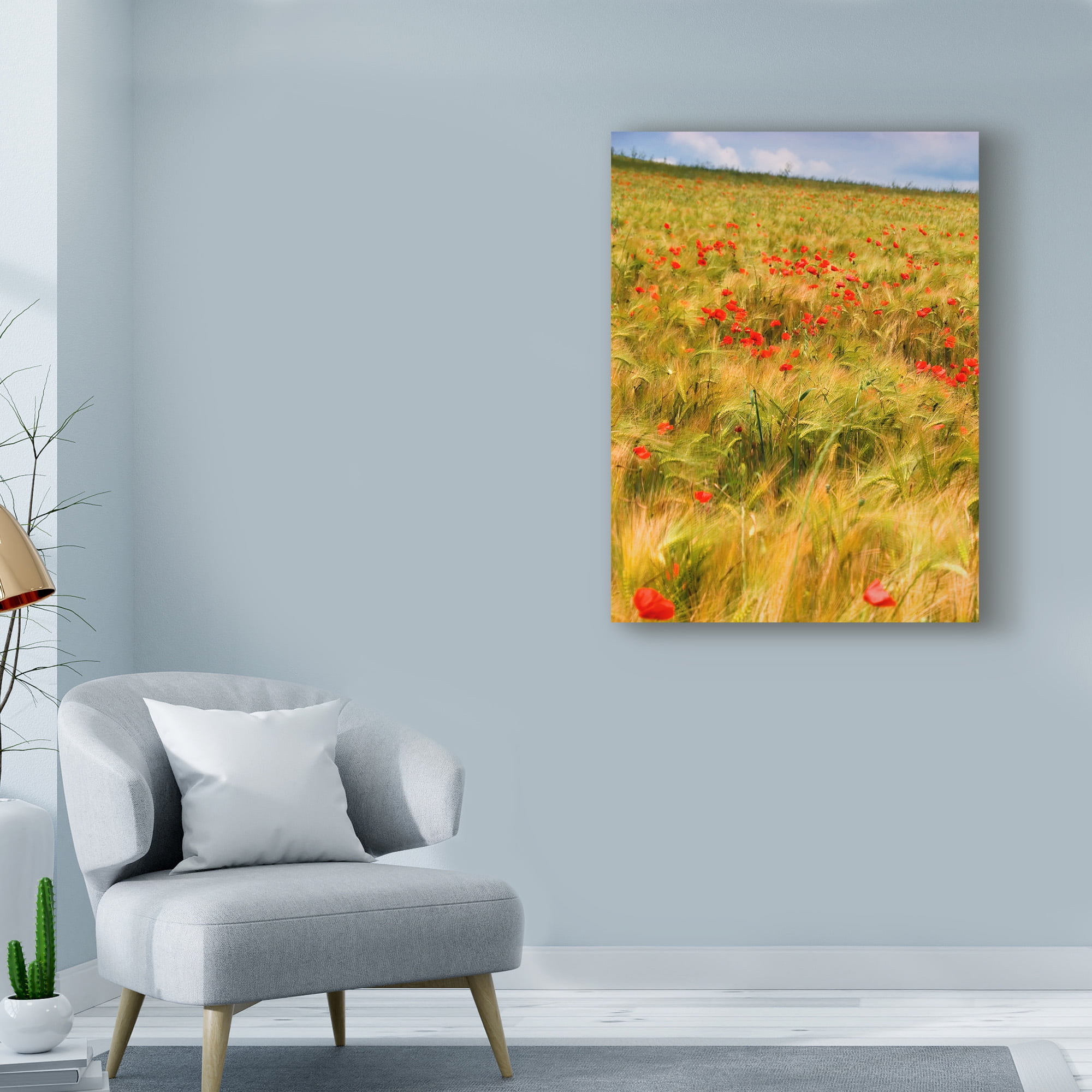 Trademark Fine Art 'Poppies in Field I' Canvas Art by Colby Chester