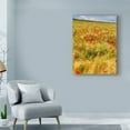 thumbnail image 3 of Trademark Fine Art 'Poppies in Field I' Canvas Art by Colby Chester, 3 of 4