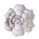 thumbnail image 1 of Flor de cerámica para colgar en la pared, decoración artesanal estereoscópica de peonía Luoyang, para sala de estar, hogar y oficina (blanca, tamaño grande), 1 of 5
