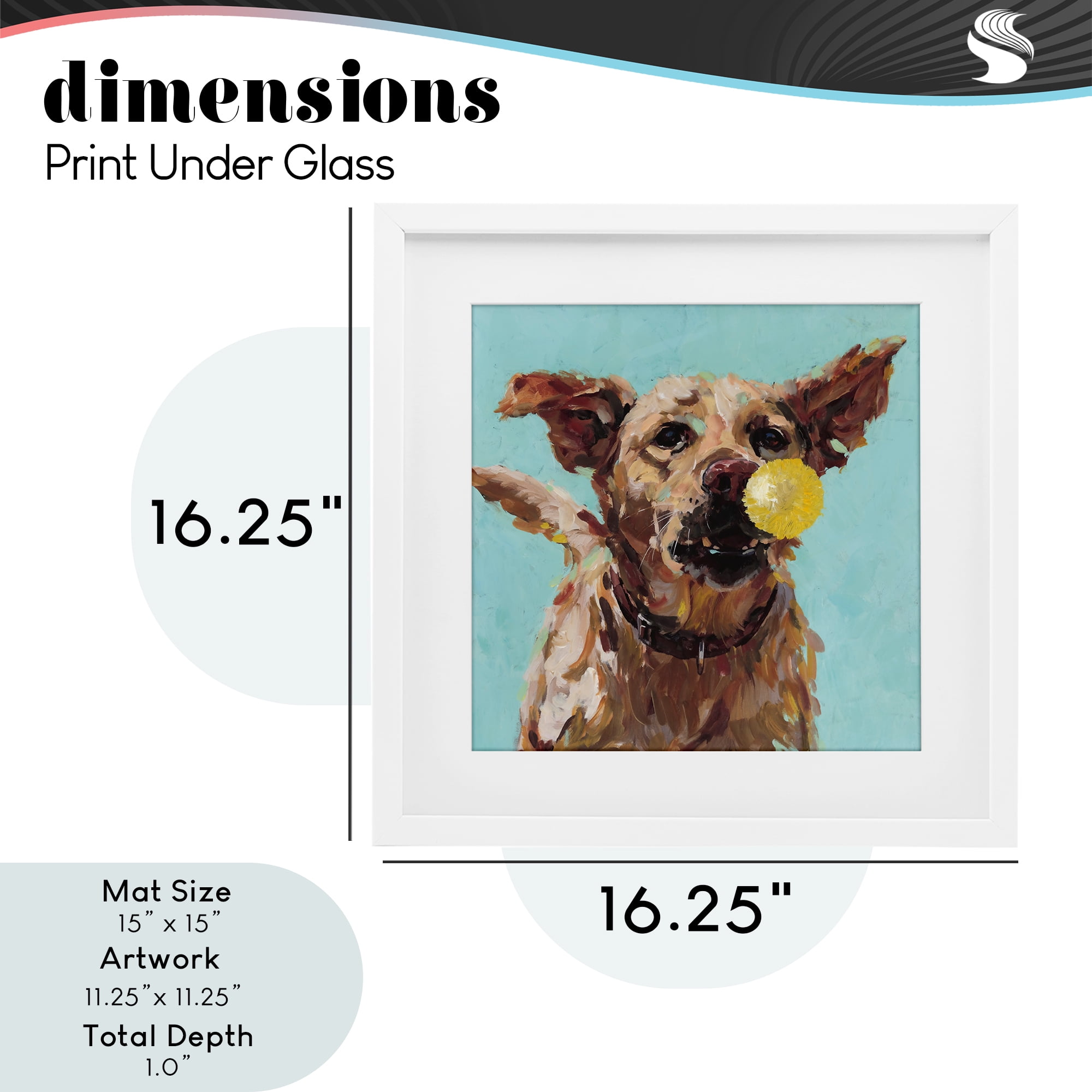 Dog Playing with Ball White Framed Print Under Glass, design by Studio Bautista