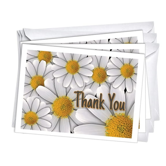 White Daisies Thank You Note Greeting Cards | 3 Pack Set (5x7)