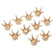 thumbnail image 4 of 10 ×Botón de Cristal Rhinestone para Manualidades y Decoración de Ropa Bolsa Album Artesanal, 4 of 9