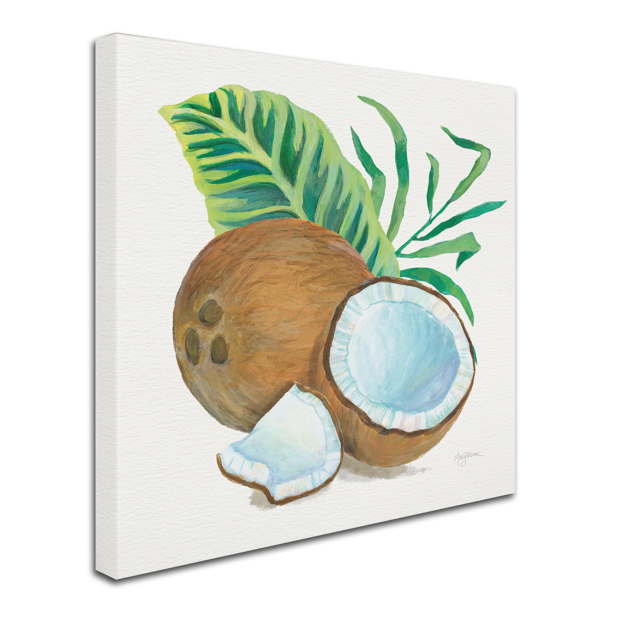 Trademark Fine Art 'Coconut Palm II' Canvas Art by Mary Urban