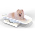 thumbnail image 2 of Báscula digital para bebés Báscula para animales para bebés o animales de hasta 10 kg Estilo de báscula blanca, 2 of 3