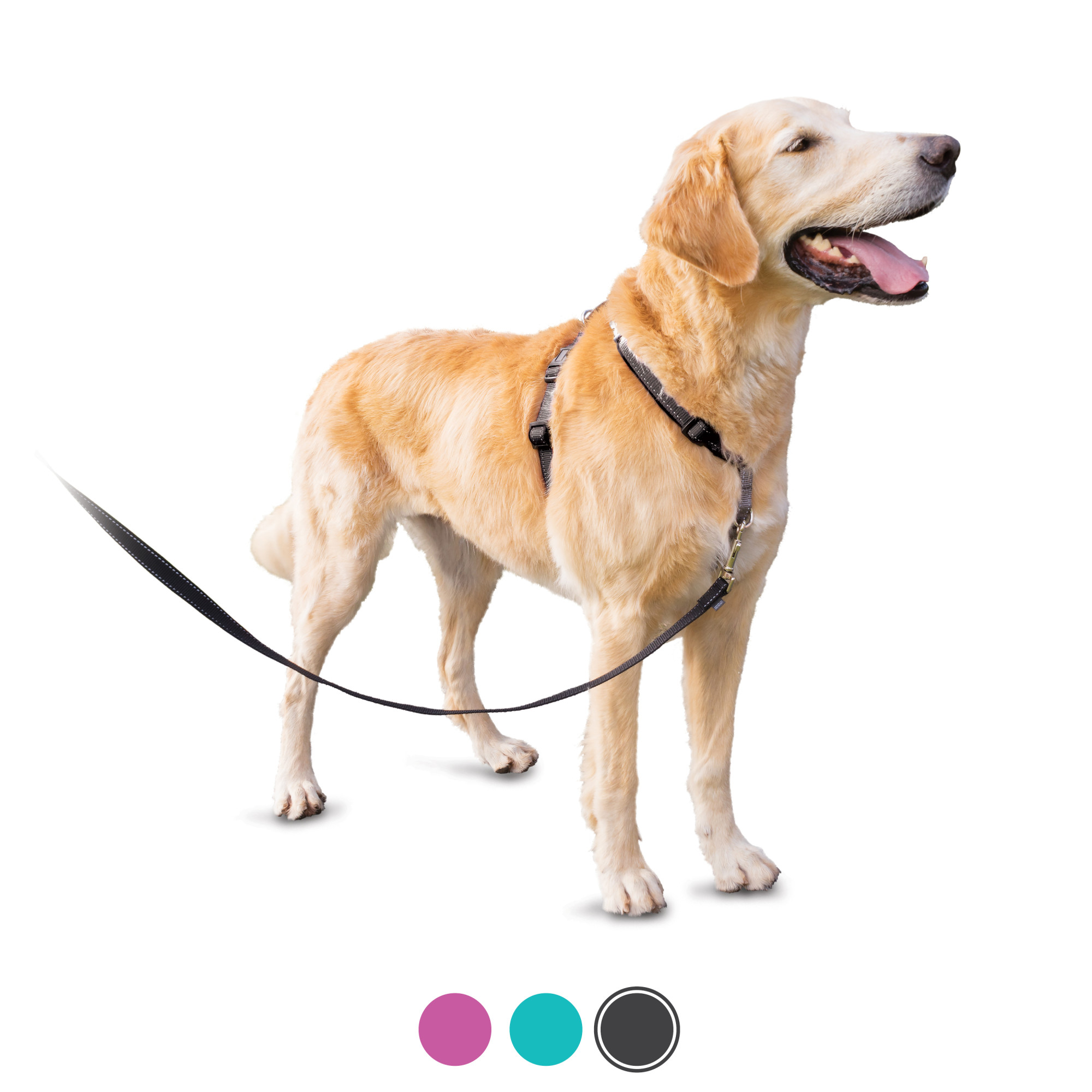 PetSafe 3 in 1 Harness, NoPull Dog Harness and Car Restraint, Large, Black