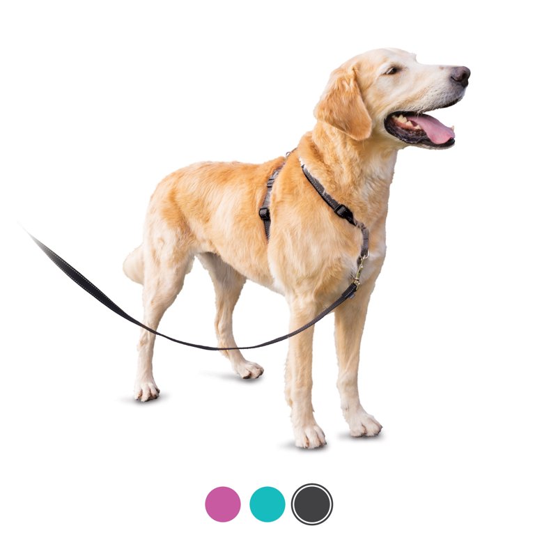 Petsafe 3 In 1 Harness No Pull Dog Harness And Car Restraint Large Black Walmart Com