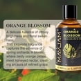 thumbnail image 6 of MAYJAM 3.38Fl.Oz Fragrance Oils for Candle Making, Orange Blossom Essential Oils for Diffusers Diy Candle And Soap Making, Perfume, 6 of 11