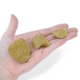 thumbnail image 3 of 12PK Raw Dolostone, Sedimentary Rocks - Approx. 1" - Geologist Selected & Hand Processed - Great for Science Classrooms - Class Pack - Eisco Labs, 3 of 5