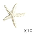 thumbnail image 2 of 10 Piece Mini Resin Starfish Set, DIY Starfish Decor for Beach Crafts Aquarium Layout Indoor Outdoor, Gift& Coastal Decor, 2 of 6