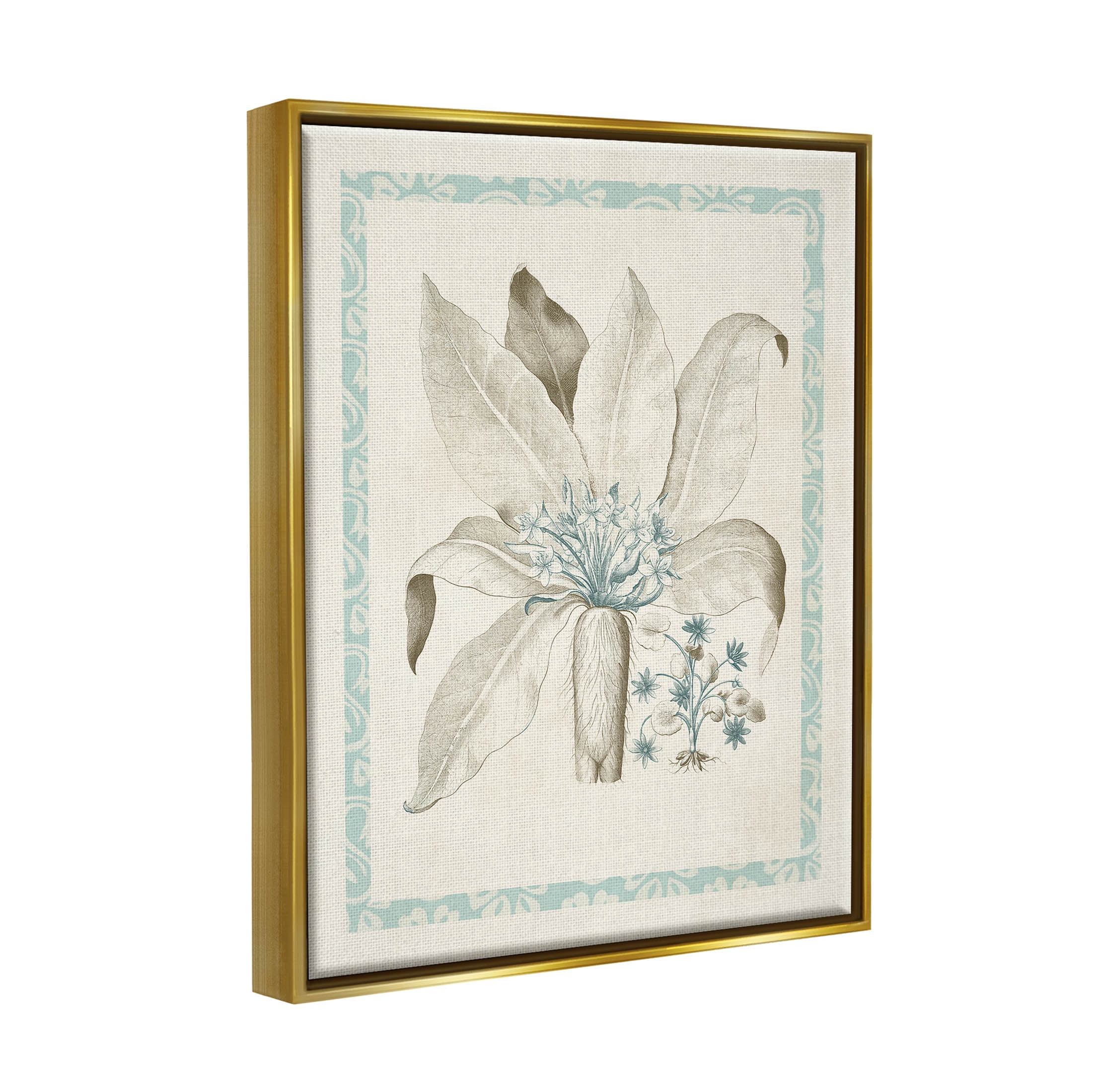 Stupell Industries Detailed Plant Study Botanicals Graphic Art Metallic Gold Floating Framed Canvas Print Wall Art, Design by Vision Studio