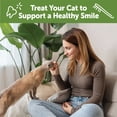 thumbnail image 5 of Wellness WHIMZEES Cat Dental Treats, Freshens Breath, Chicken and Tuna Flavor, 4.5 oz Bag, 5 of 7