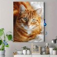 thumbnail image 4 of Qisvanset Ginger Cat Portrait Canvas Print 12x16 Inch Den Bedroom Decor, 4 of 8