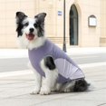 thumbnail image 4 of HQREA Dog Cooling Shirt Waterproof Summer UPF 50+ UV Protection Quick Dry Doggy Vest Tank Top Clothes for Large Dogs, 4 of 6