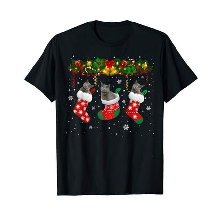 Chartreux Cat In Christmas Sock Funny Cat Lover Gift T-Shirt