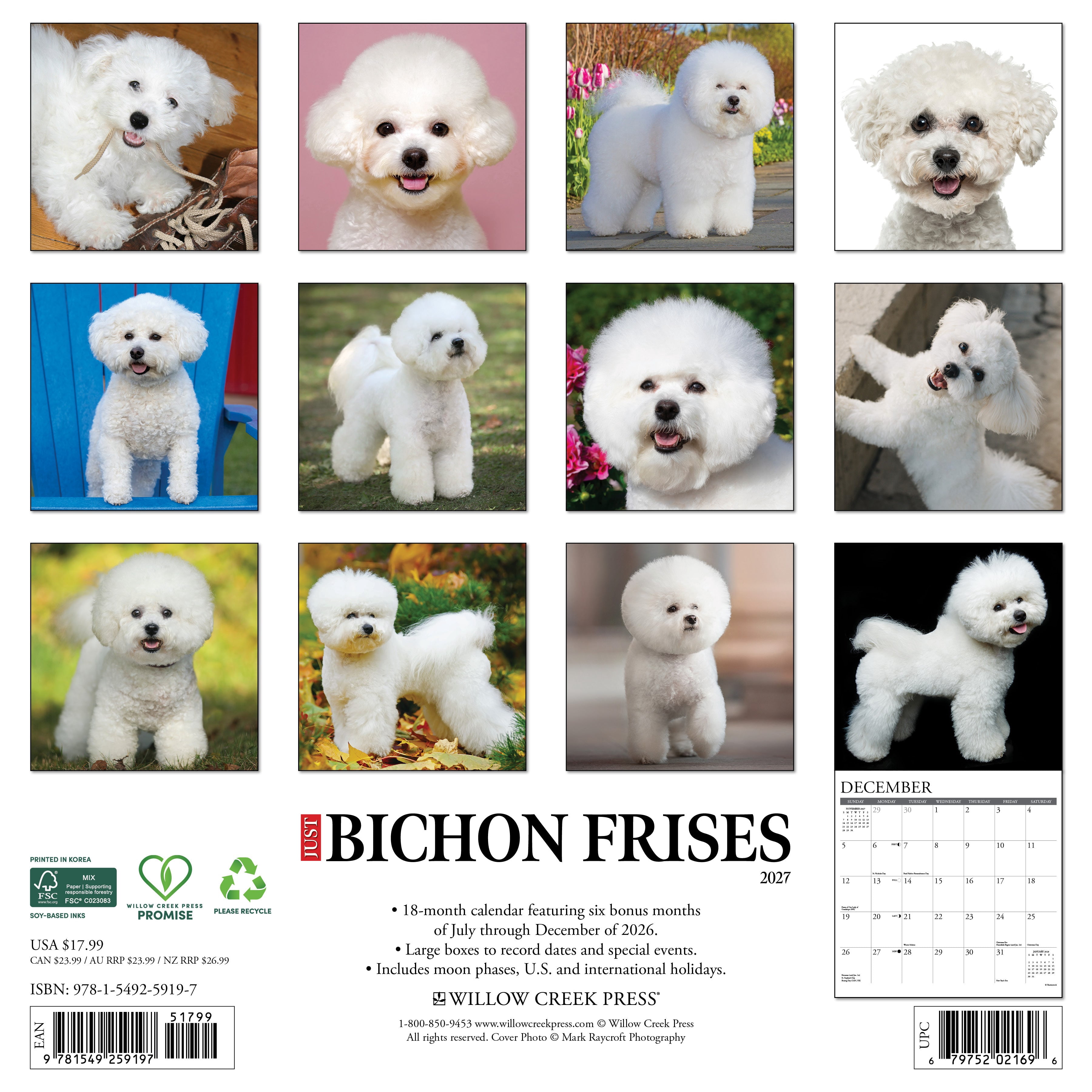 Willow Creek Press, Bichon Frises 2027 Wall Calendar