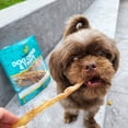 thumbnail image 6 of HotSpot Pets Natural Beef Tendon Chew Treats for Dogs, 8 Inch Stick, 10 Pack, 6 of 9