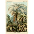 thumbnail image 2 of Haeckel, Ernst 13x18 Gold Ornate Wood Framed with Double Matting Museum Art Print Titled - Haeckel Nature Illustrations: Ferns, 2 of 4
